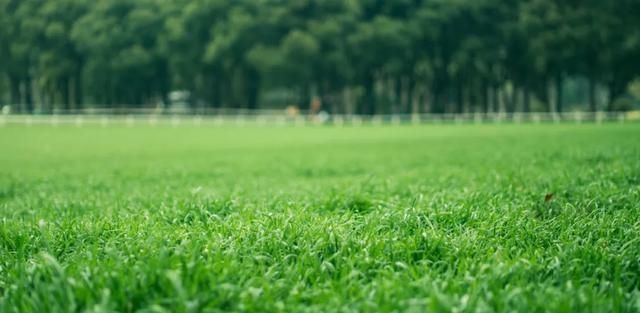 为什么会爱上汕头？每次都有惊喜！史上最全汕头旅游攻略来袭！