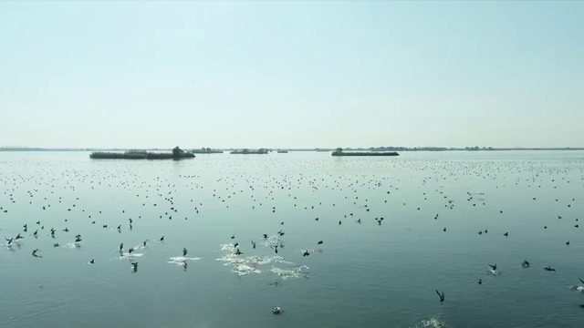 盐都五旅融合 释放发展活力