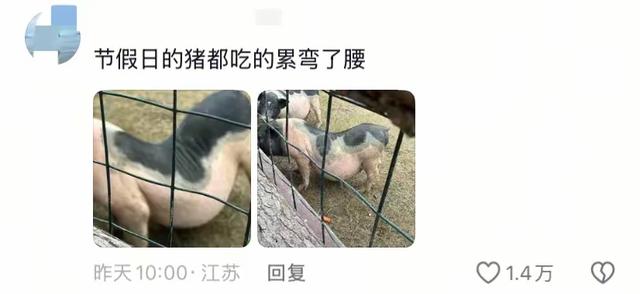 笑不活了 国庆假期结束 动物园里的动物成了第一批“受害者”