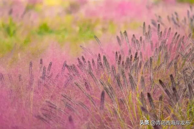 走不出这画了，我已被西海岸的秋景迷倒 🥹