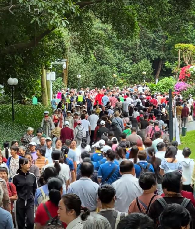 花漫鹏城，墟声鼎沸：2025深圳勒杜鹃赏花周首日走笔