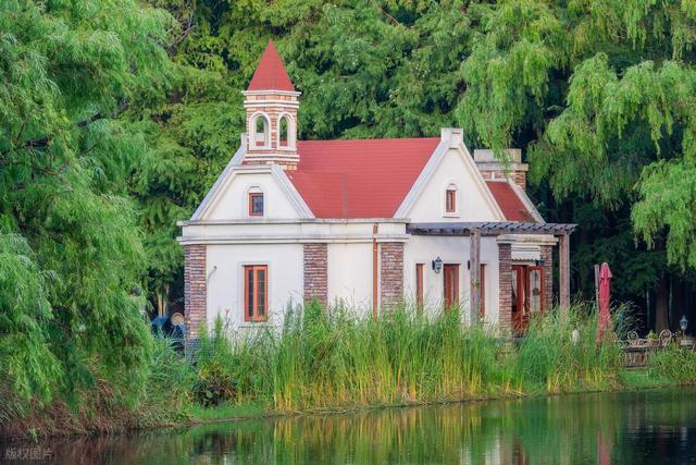 上海值得去的6个公园推荐！全部免费，好看又好玩！你都去过几个