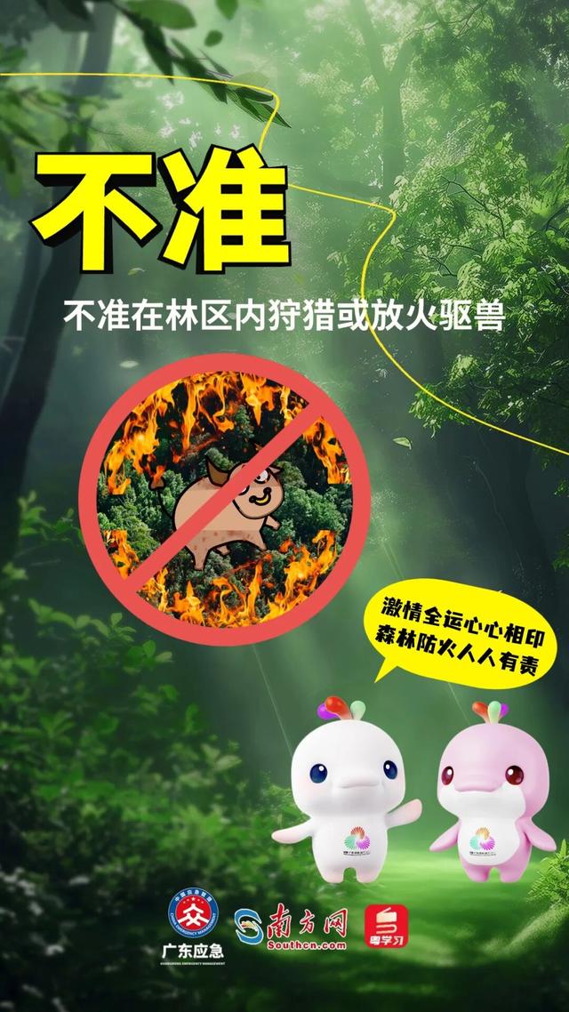 森林特别防护期，严禁这些行为→