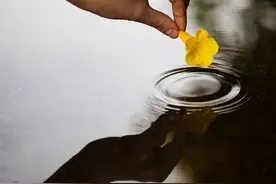 人生下半场，一边放下，一边释怀，一边自愈，一边前行图片
