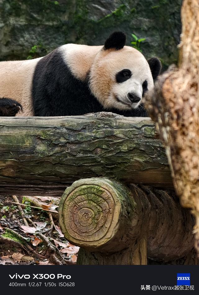 超全万字文！告诉你为什么 X300 系列是最强旗舰影像机