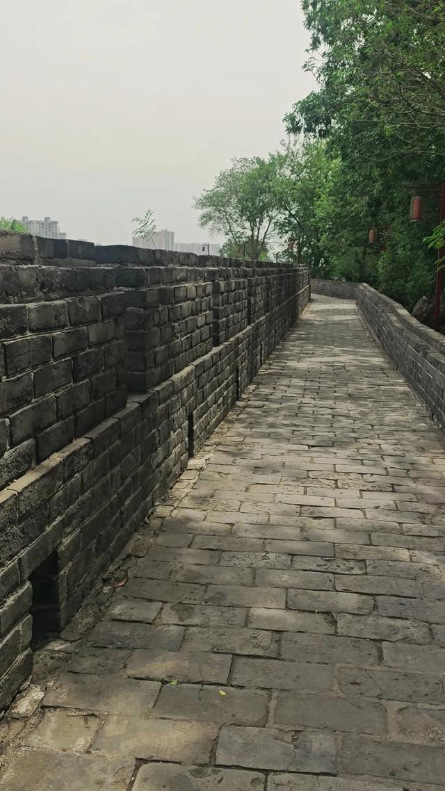 别再被骗了！荆州古城这样玩，才不枉千年等一回