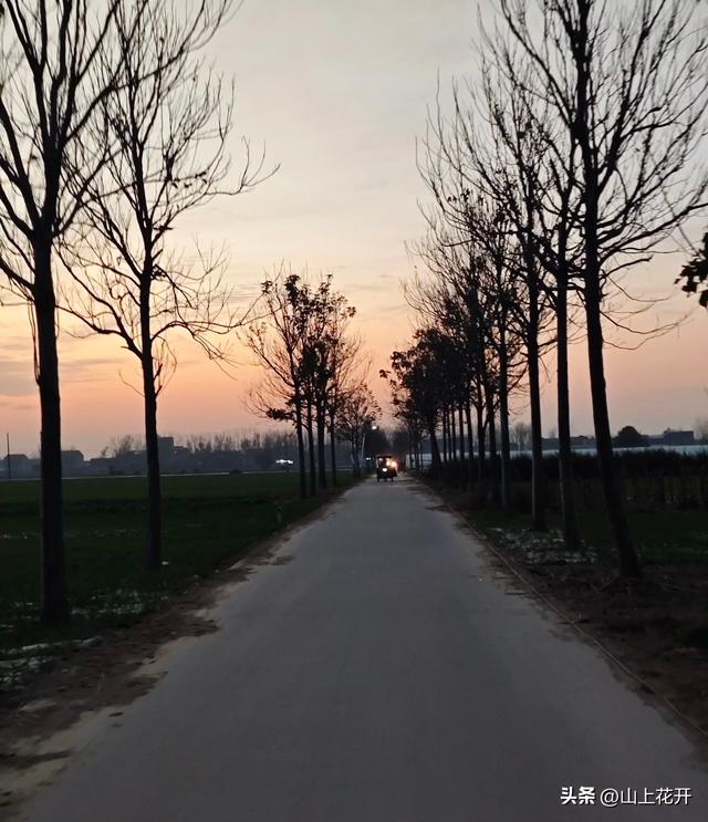 漂亮的五婶（174）五婶心里很感激马三