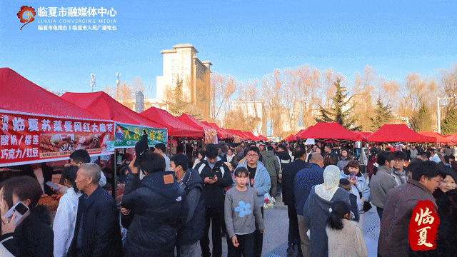 临夏市：“文商旅体健”绘就马年新春盛景