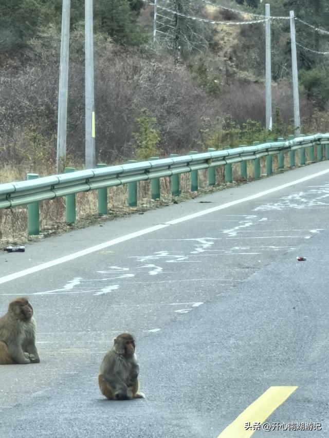 喀什经317到成都，色达县-都江堰，甲居藏寨、理小路、桃坪羌寨