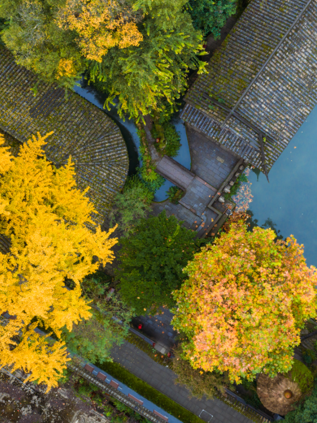 还起什么标题，美不美你们直接看！