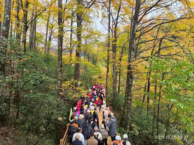 排队游览光雾山