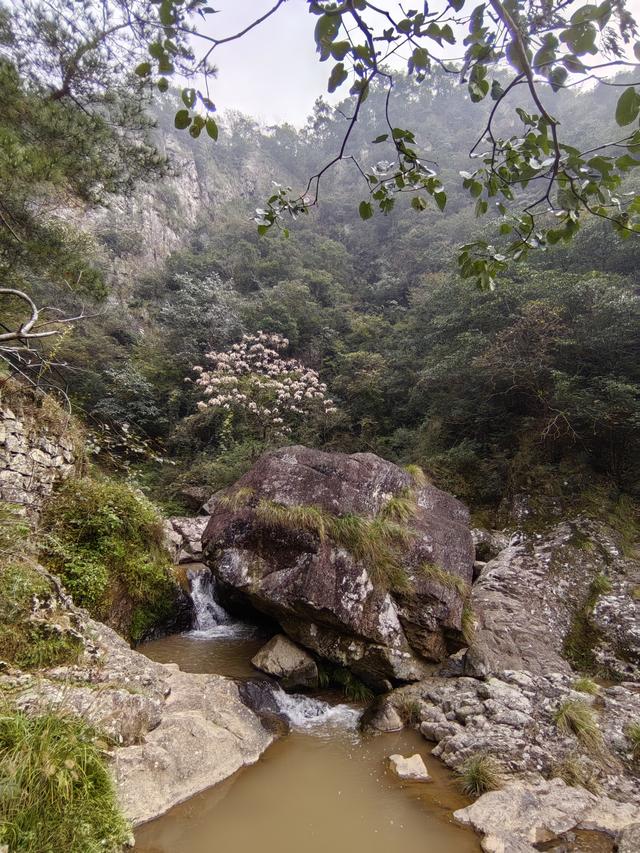 #顾叶的脚步#251101-三隐潭