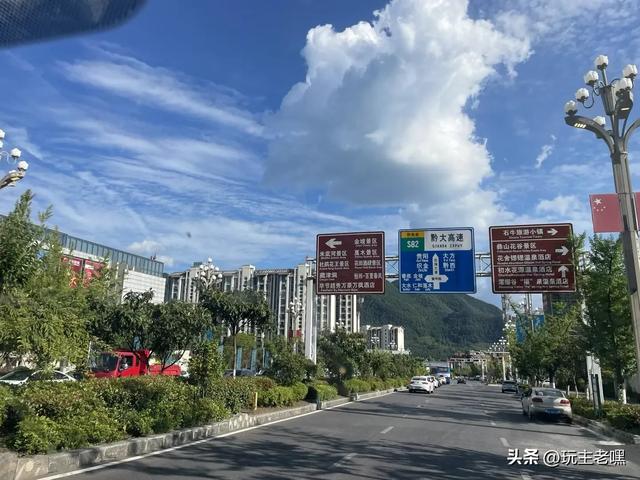 疆藏云贵行94,百里杜鹃