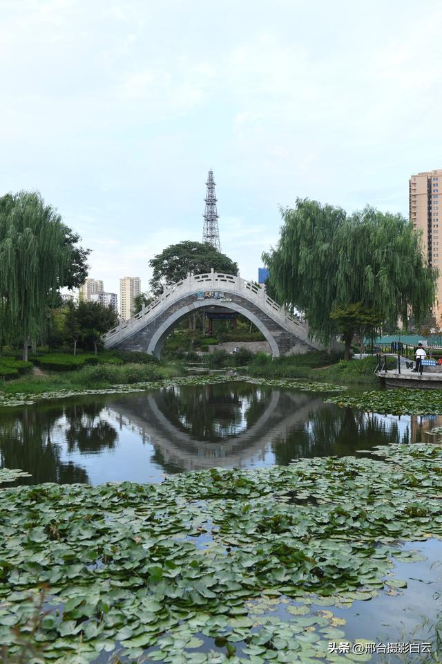 五一桥公园：藏在城市里的江南梦境