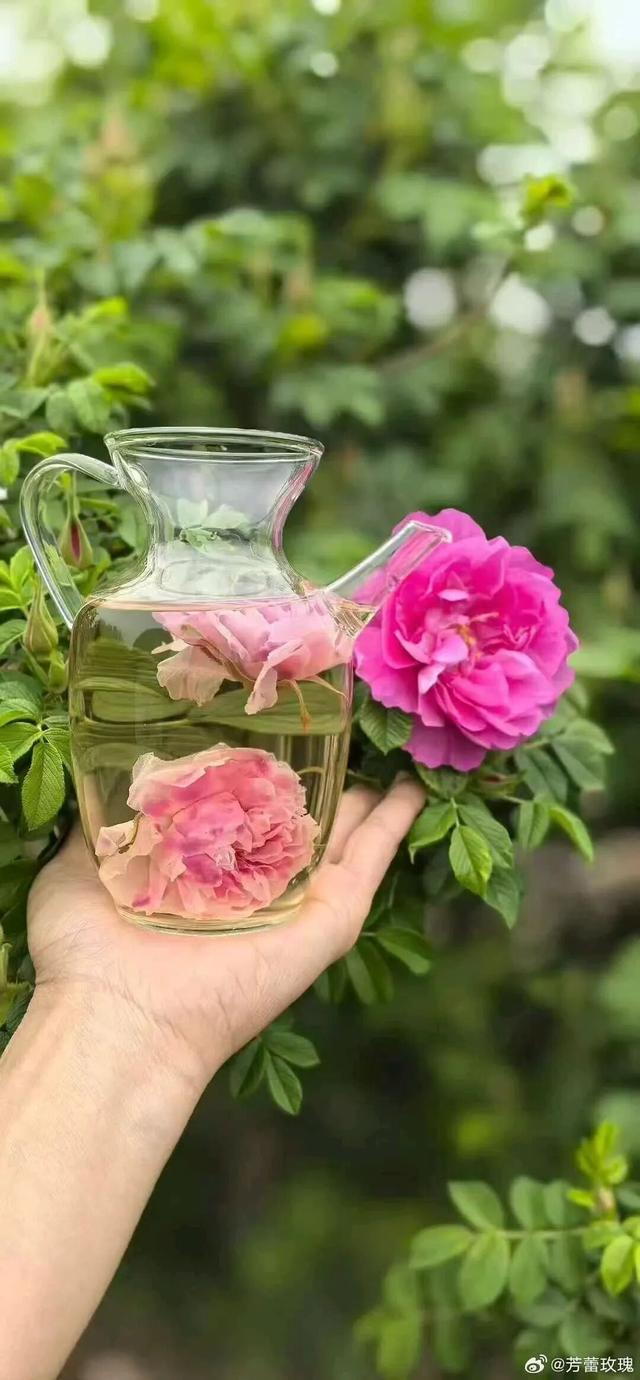 中医药、温泉、养生阿胶，济南的“康养密码”在这里！