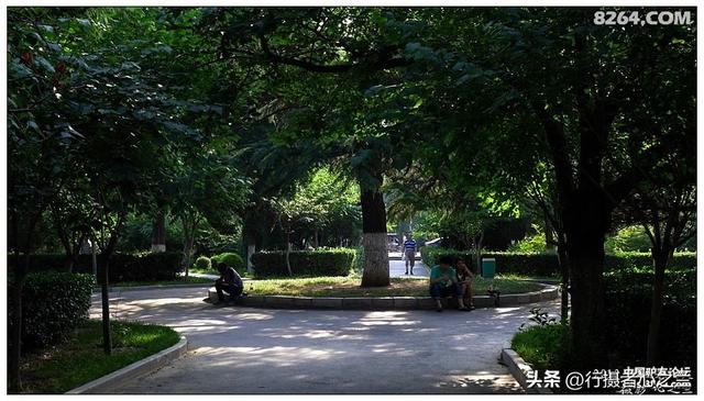 山东行游影记（15）—济南山东大学（二）