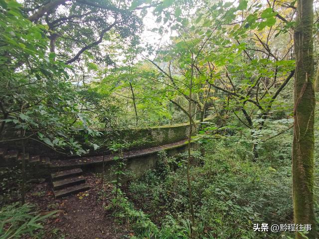 寻找一片僧人墓地，佛门高僧竟然最后落得尸骸无存