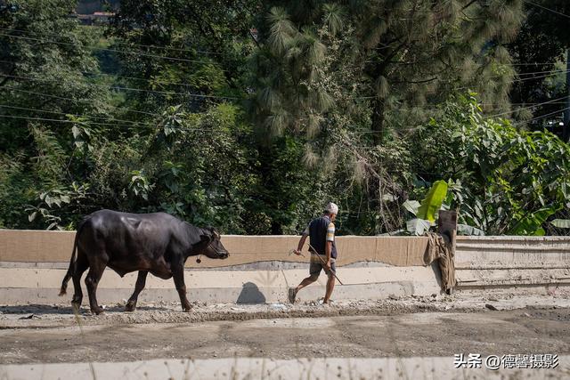 尼泊尔摄影之旅（25）——风景在路上
