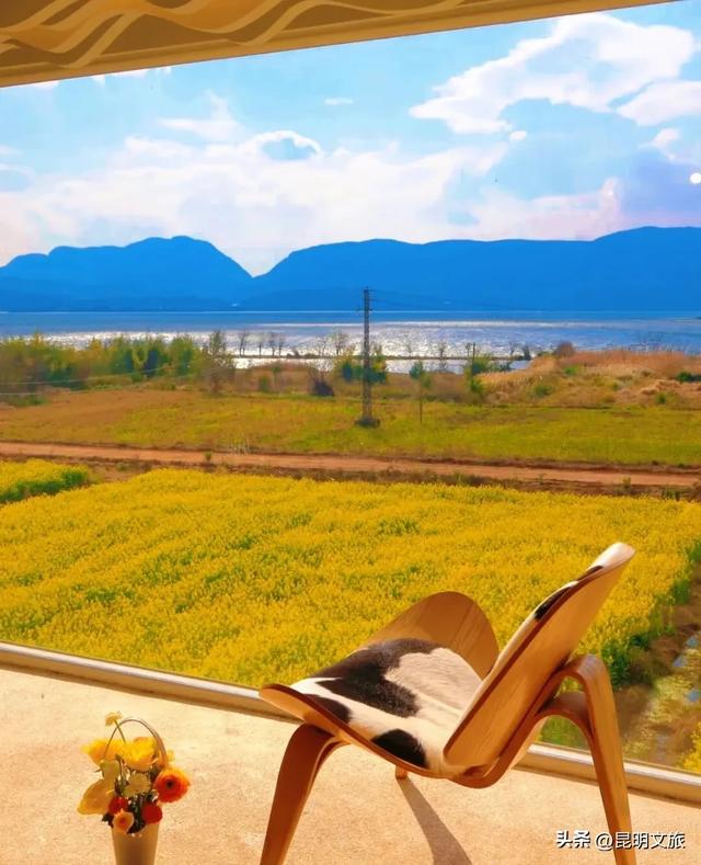 超详细攻略!在昆明官渡,与鸥共舞,六种玩法开启冬日漫游!