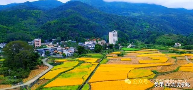 古道溯风，庐溪怀韵——老黄圃纪行