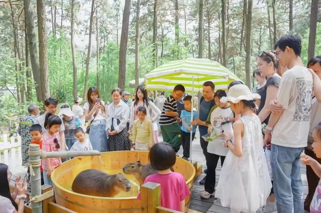 山水亦逍遥，盛夏更出圈！2025年金坛茅山暑假完美收官~