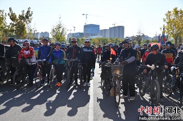 高端媒体看邯郸丨河北曲周举办“骑聚千年凤城 共赏银杏美景”主题骑行活动