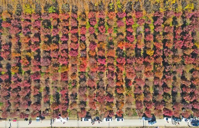 初冬西安 处处“入画”