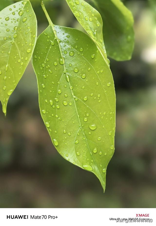 华为Mate 70 Pro+