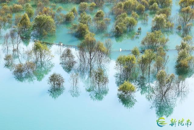 两江交汇碧波现