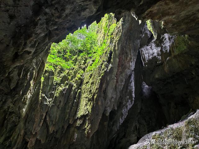 马来西亚(29)砂拉越州③姆鲁山清水洞·风洞