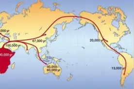 中国人为什么智商高图片