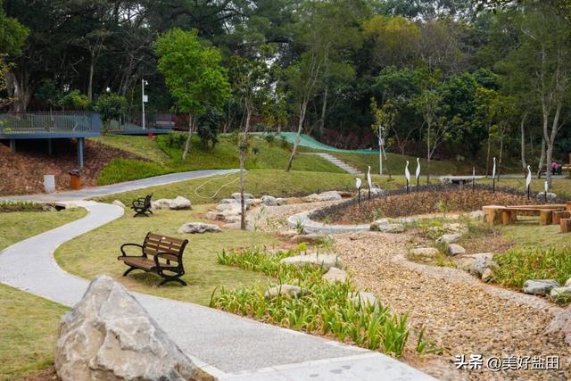 二刷、三刷……遛娃党解锁恩上湿地新玩法！