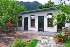 古老的7大辟邪植物，可种在庭院，现在只剩6种，另1种去哪里了？图片