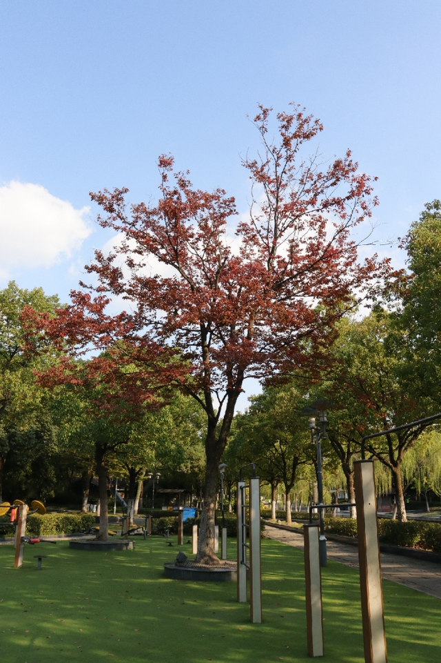 超出片！江阴这些地方“红了”！