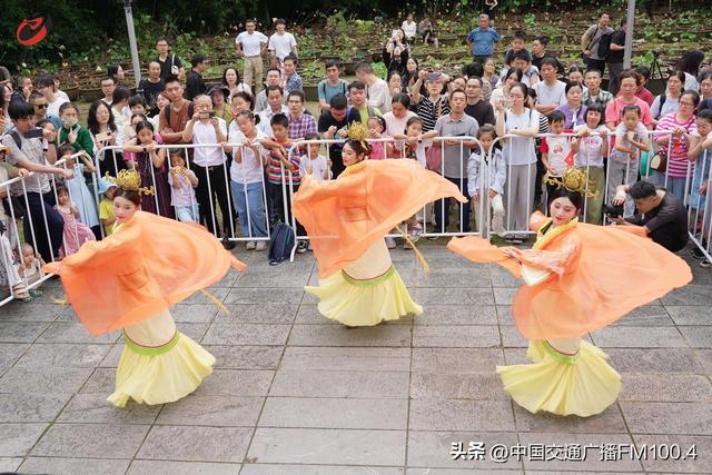 合肥包公园8天引爆“25万+”流量