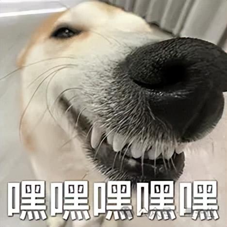 长得这么“乖”的人形机器人，第一次见