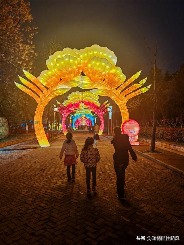 洛阳正月十五赏灯最佳处：隋唐遗址植物园