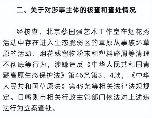 国家出手！央视发文，蔡国强烟花秀事件大结局，这几个人麻烦大了