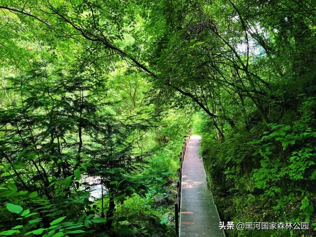 西安周边避暑天花板！凉快10℃的宝藏地！