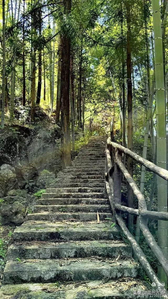 华东最后一个通电村!你知道是温州哪个村吗