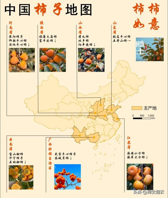 柿子熟了！叶子黄了！北平的秋，便成了人间天堂！