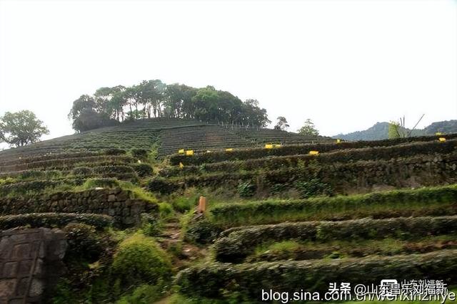 杭州324路公交车沿途风光（皖浙沪旅游122）