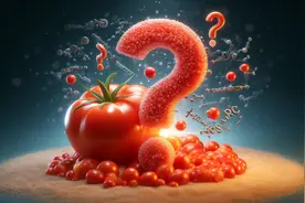 生吃西红柿，对血糖有没有影响？有利于降血糖吗？早点了解清楚图片