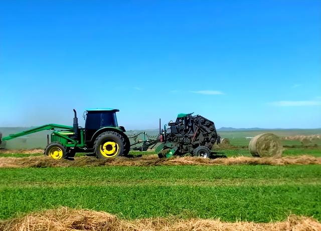 月薪8000留不住人，牧民靠万亩草场维生，新疆的上限下限超乎想象