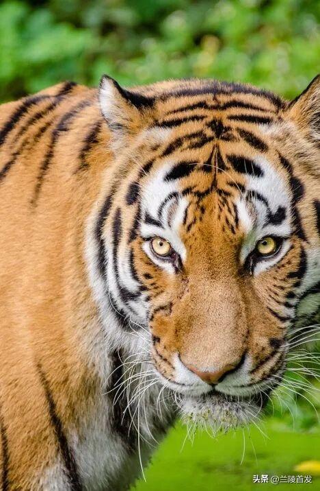 好客山东好品山东｜临沂遛娃去哪儿？初冬攻略收藏就出发～