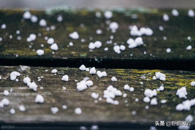 探幽秘境甘南，开启心灵净化之旅之三