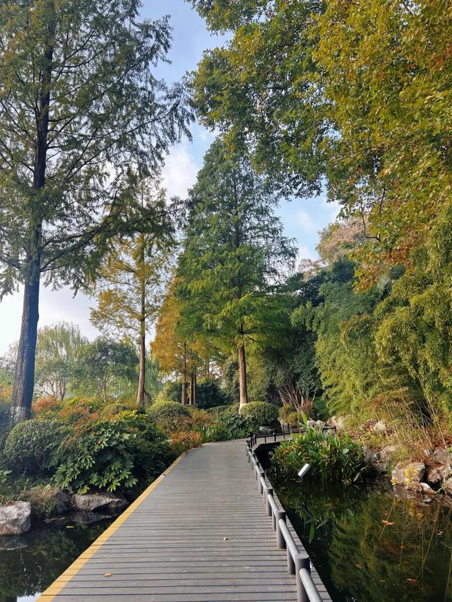 中国“学历”最高的省会,史诗级出圈