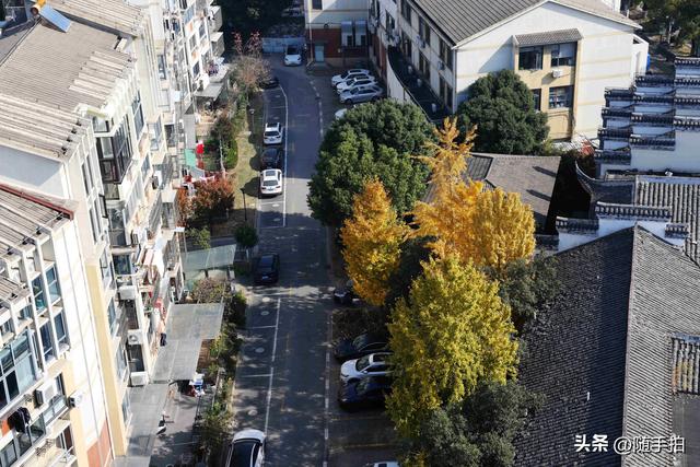 上海：嘉定安亭永安塔俯瞰老街古镇秋色如画