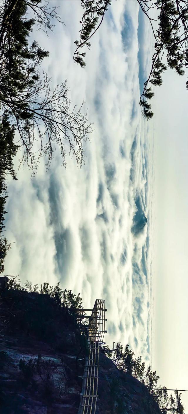 谁懂啊！今日明月山的云海简直在掌心流动！