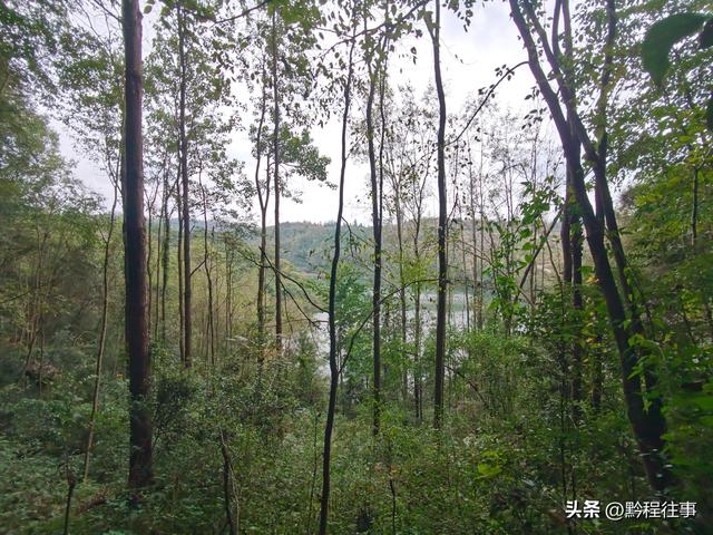 偏远乡野中寻找一个古寺遗址，探险一个深邃溶洞